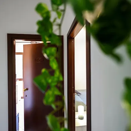 Esterita 4* Parghelia